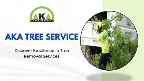 aka tree service reviews|aka tree service staff.